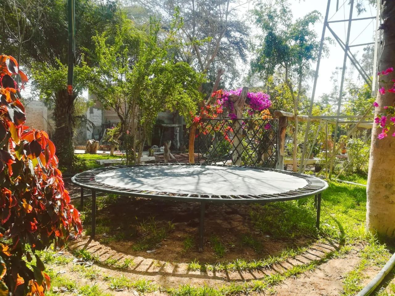 Hotel & Hacienda El Carmelo إِكا المظهر الخارجي الصورة