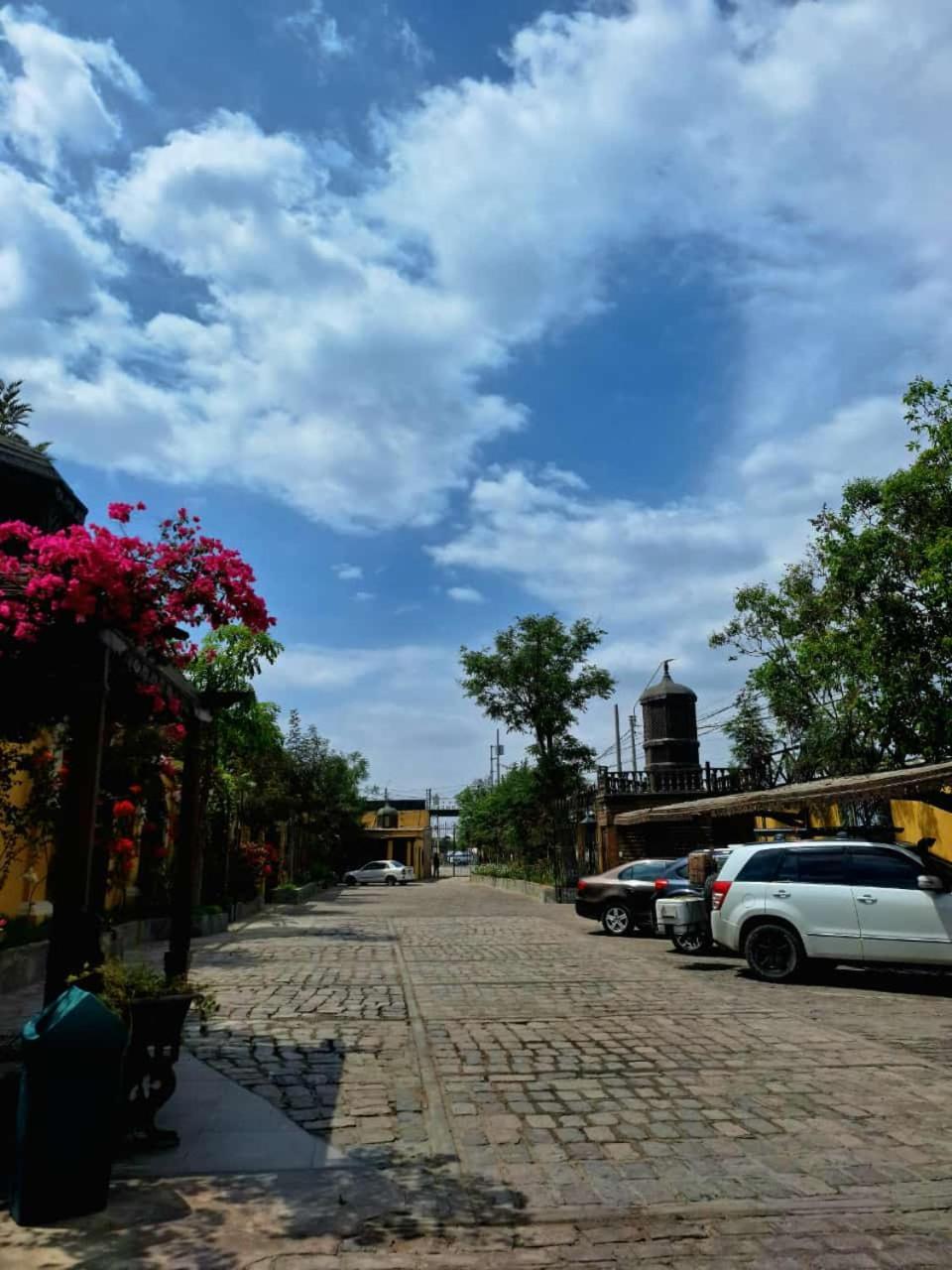 Hotel & Hacienda El Carmelo إِكا المظهر الخارجي الصورة